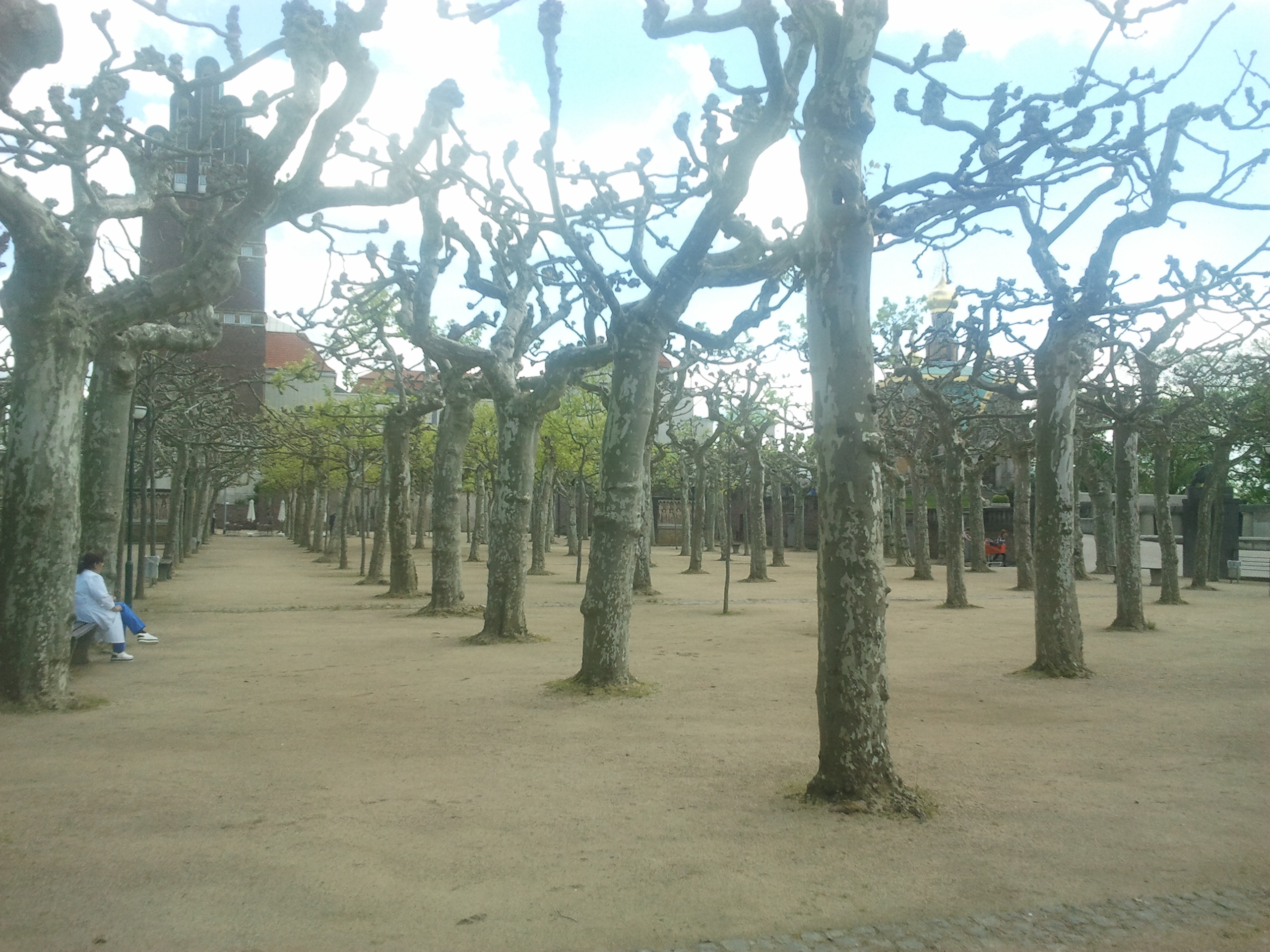 2015-05-04 12.28.09.jpg