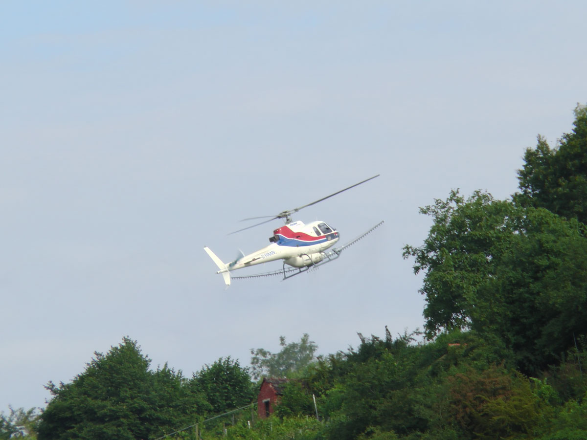 S2120013.jpg