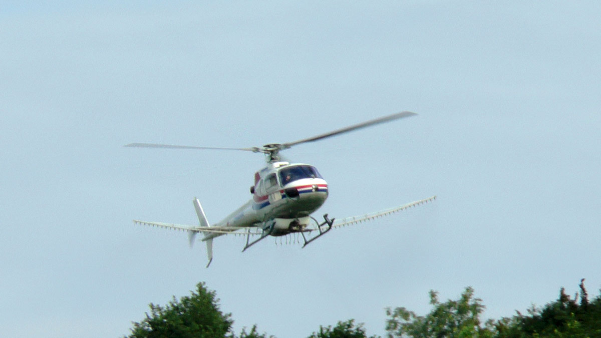 S2120009.jpg