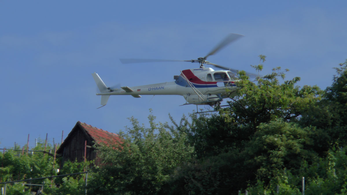 S2120003.jpg