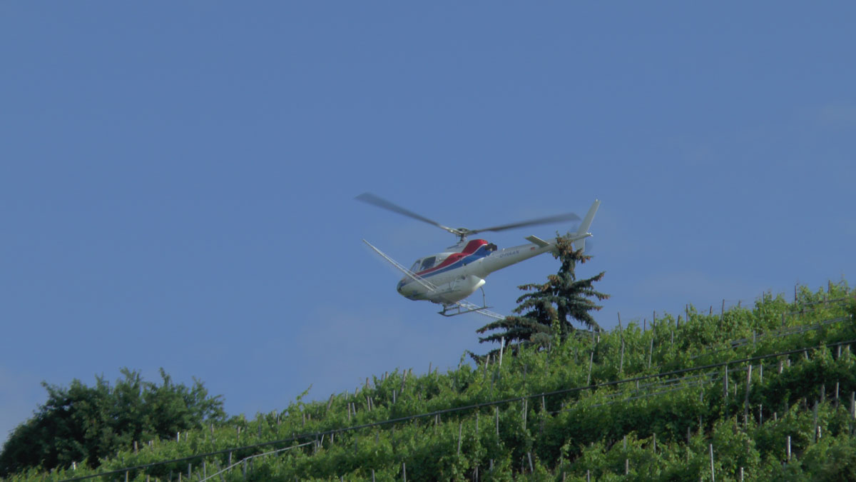 S2120002.jpg