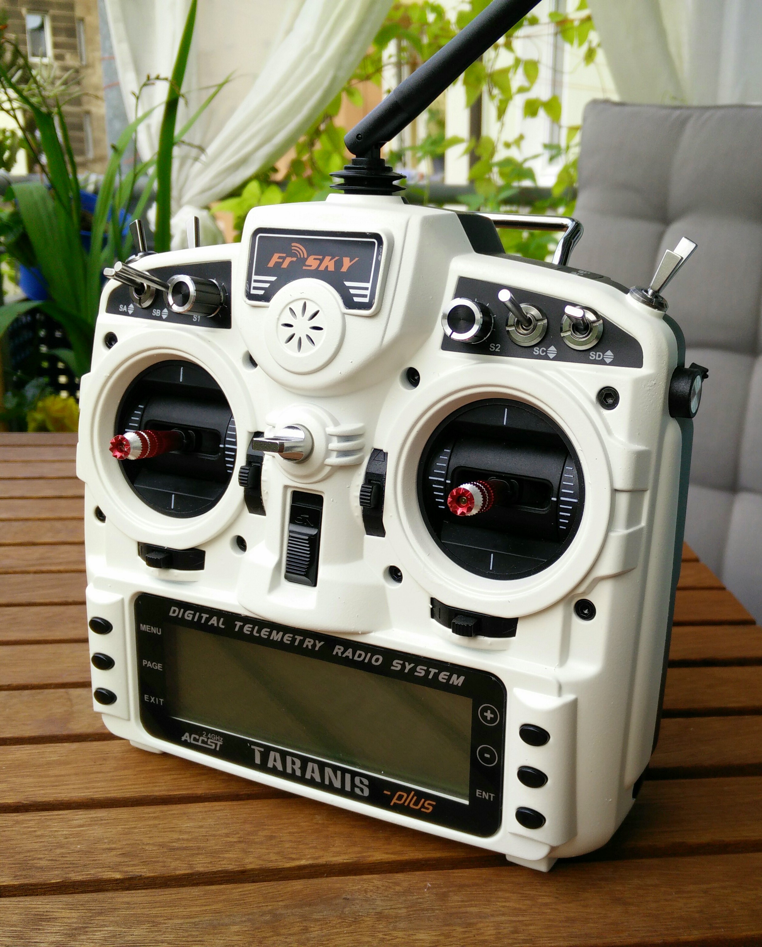 Meine Taranis ;)