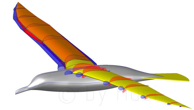 c_by_01_Möwe_mit_Druckverteilung_0_Grad.jpg