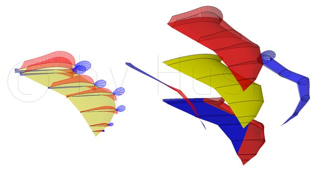 c_by_02_Möwenflügel_mit_Druckverteilung_0_Grad.jpg