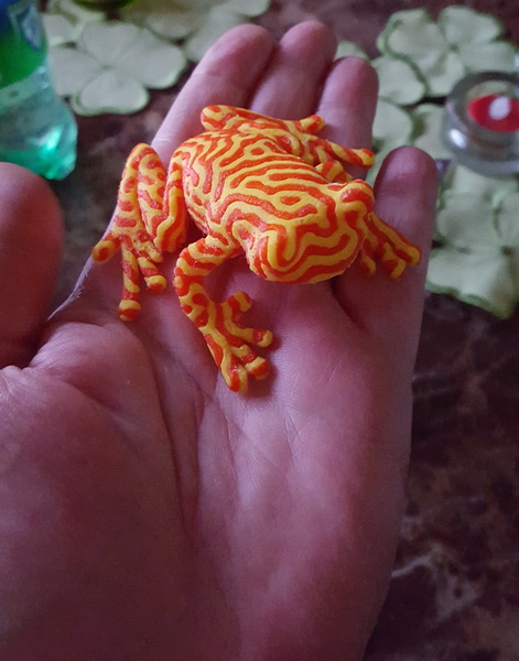 Gefangener Frosch....