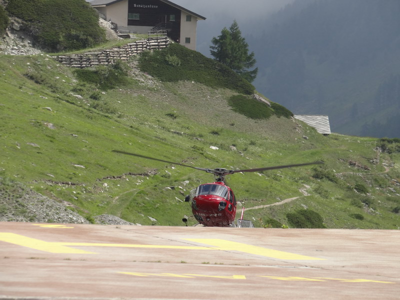 Eichhörnchen beim Landeanflug auf Base Zermatt zum betanken.