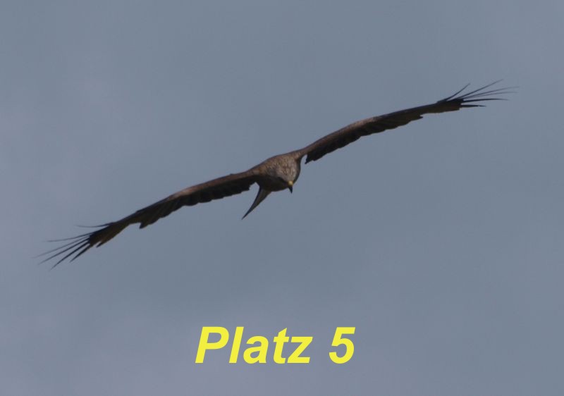 Platz 5.jpg