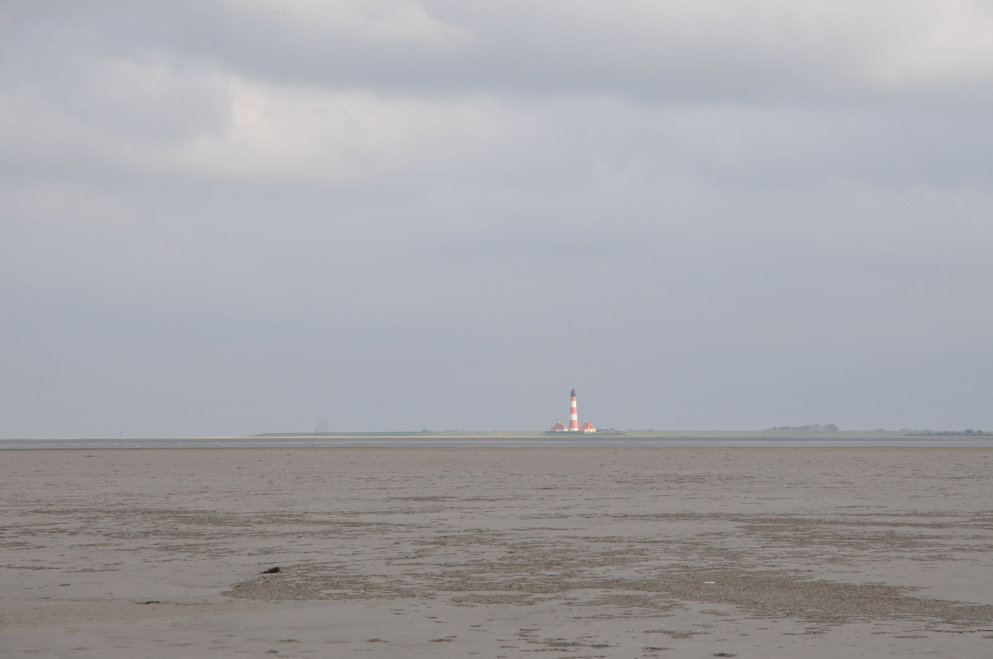 nochmal LT Westerhever