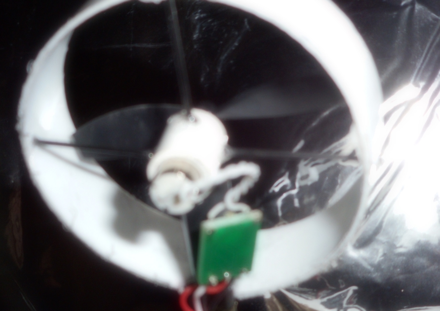 DSCN0725.JPG