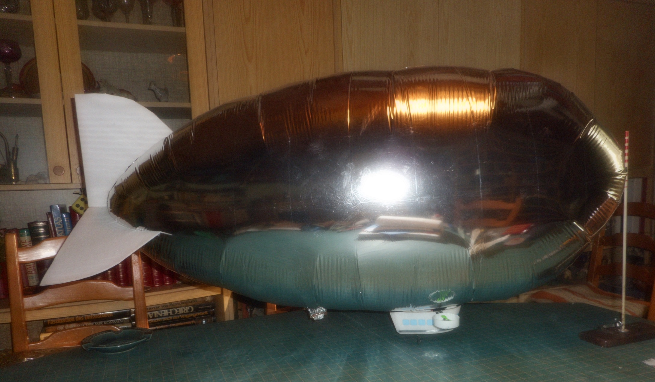 DSCN0730.JPG