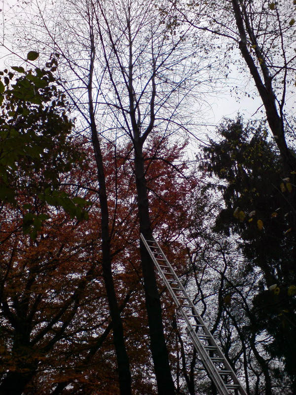 DSC00031.JPG