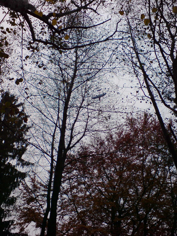 DSC00027.JPG
