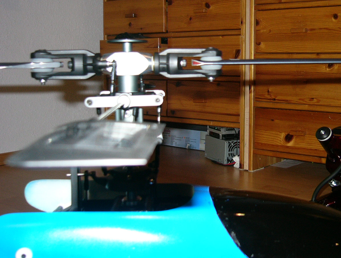 P1030517.jpg