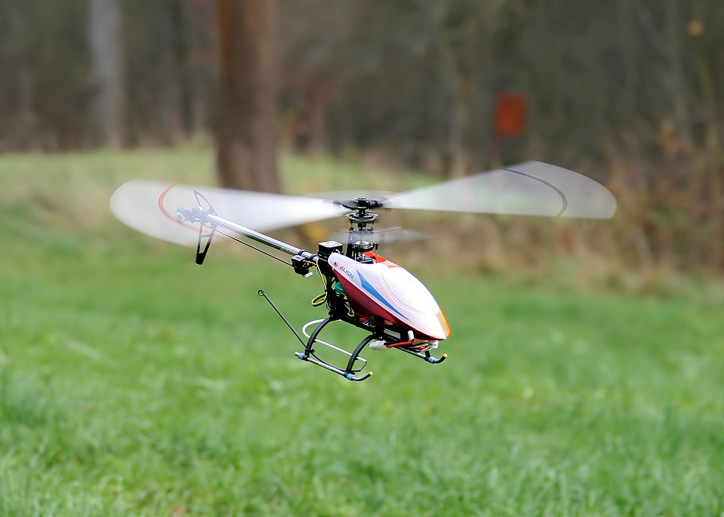 rex-fly04.jpg