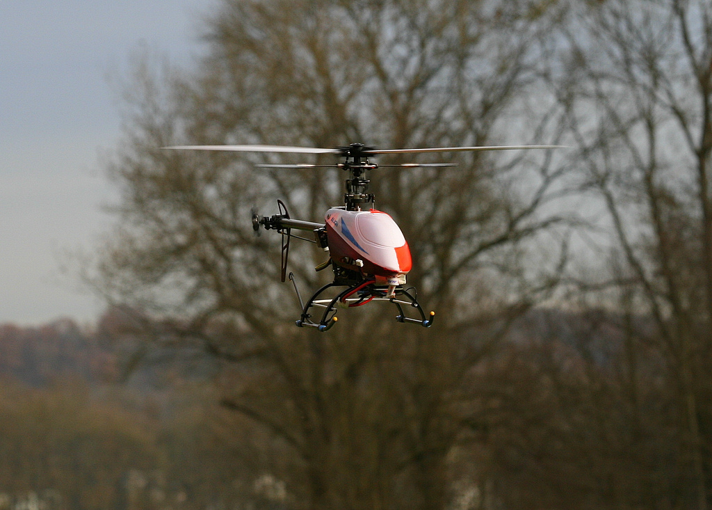 rex-fly03.jpg