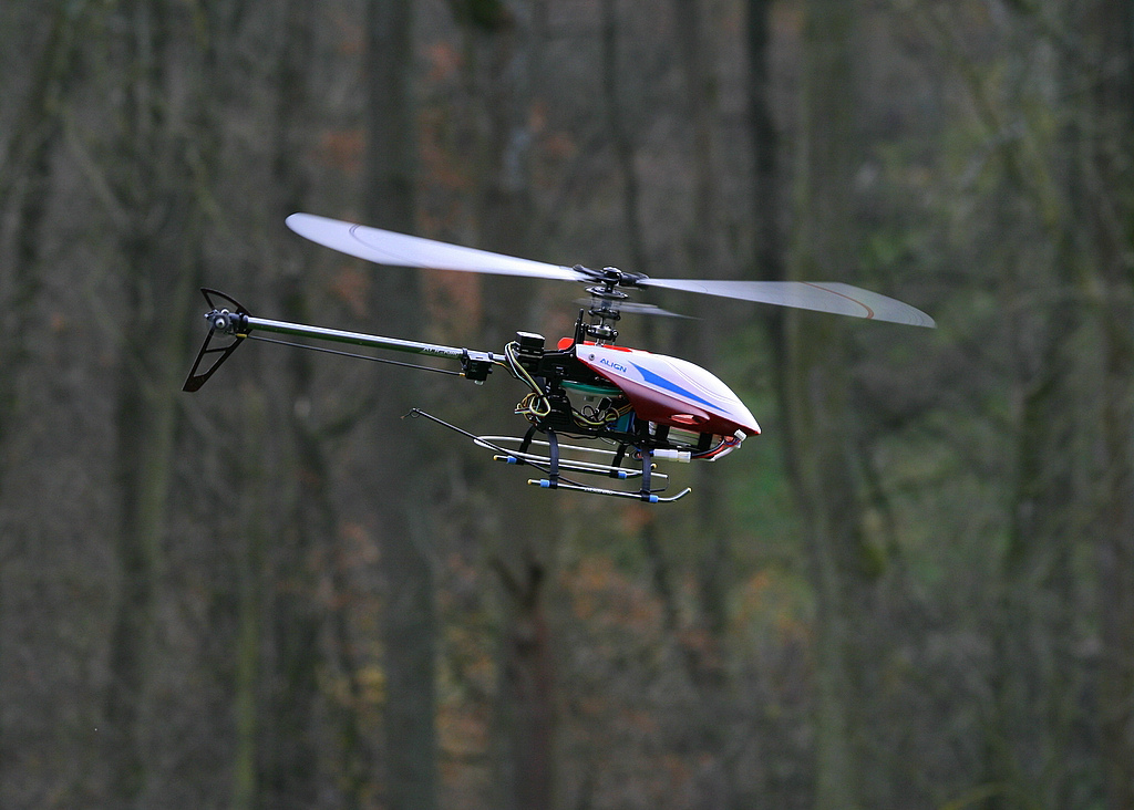 rex-fly02.jpg