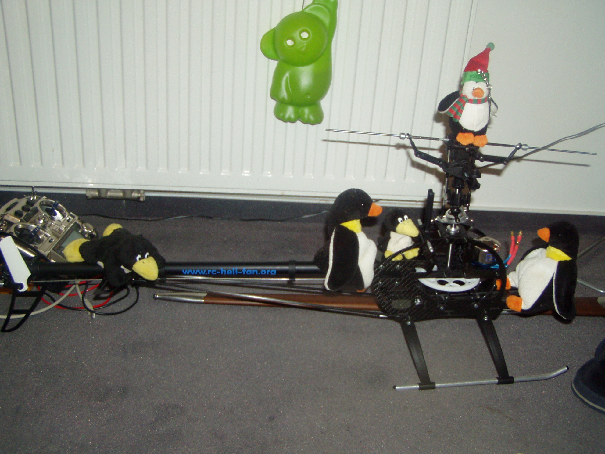 p1010176.jpg
