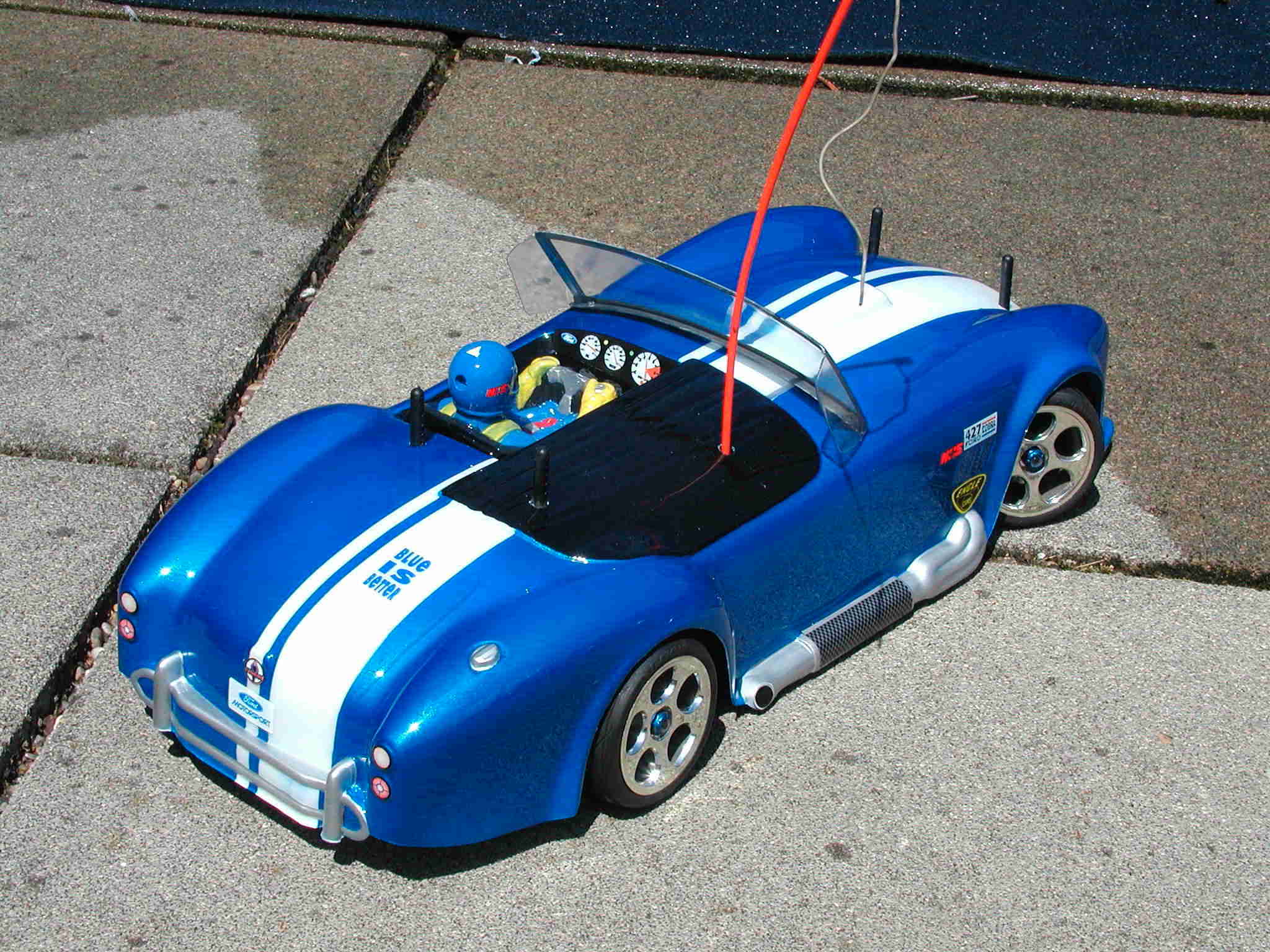 cobra1.jpg