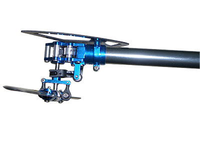 450_blue_tail.jpg