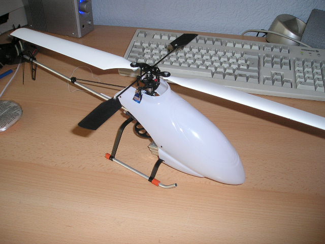 Rex-Haube_Am_Piccolo.JPG