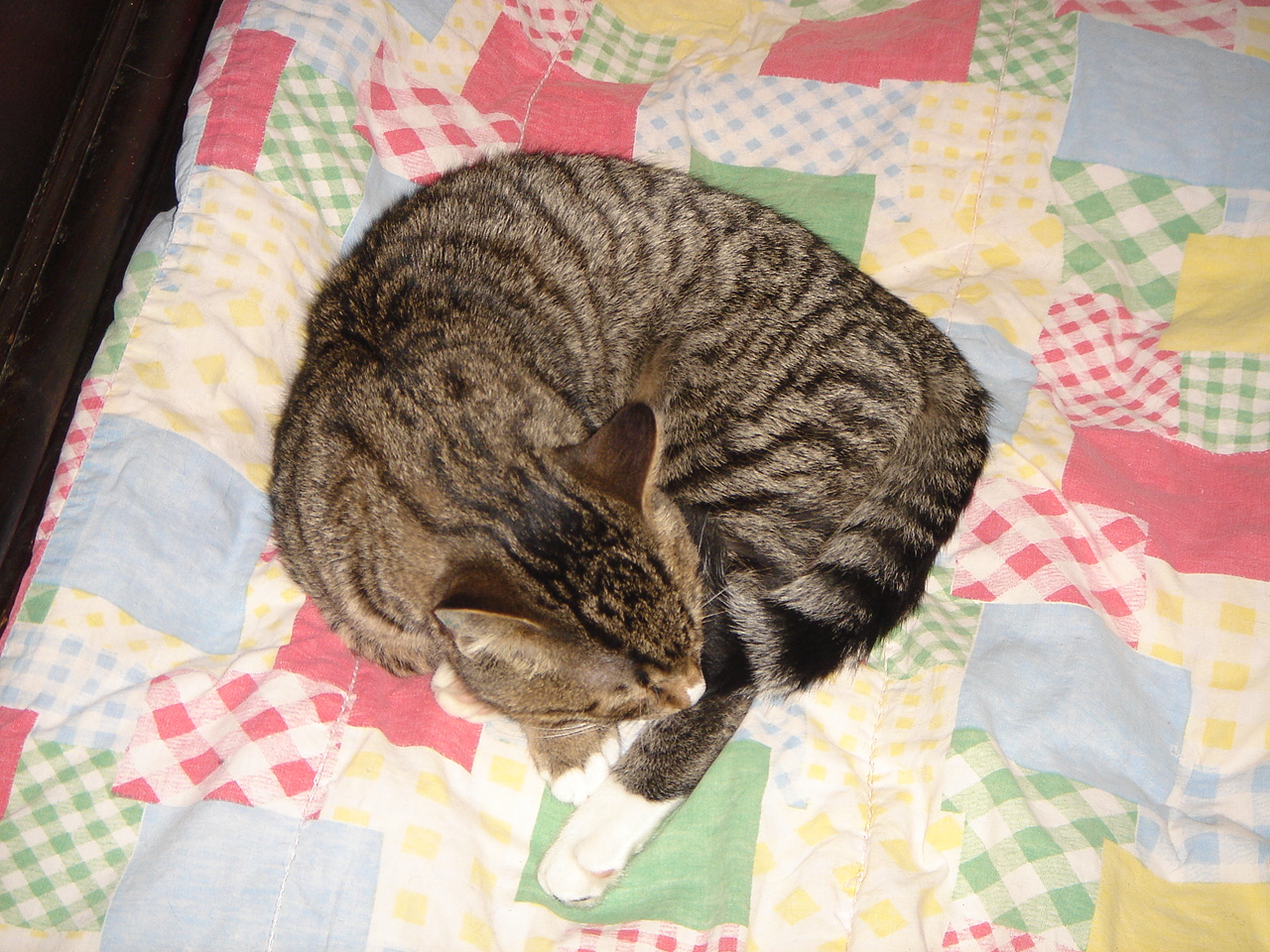 DSC02375.JPG
