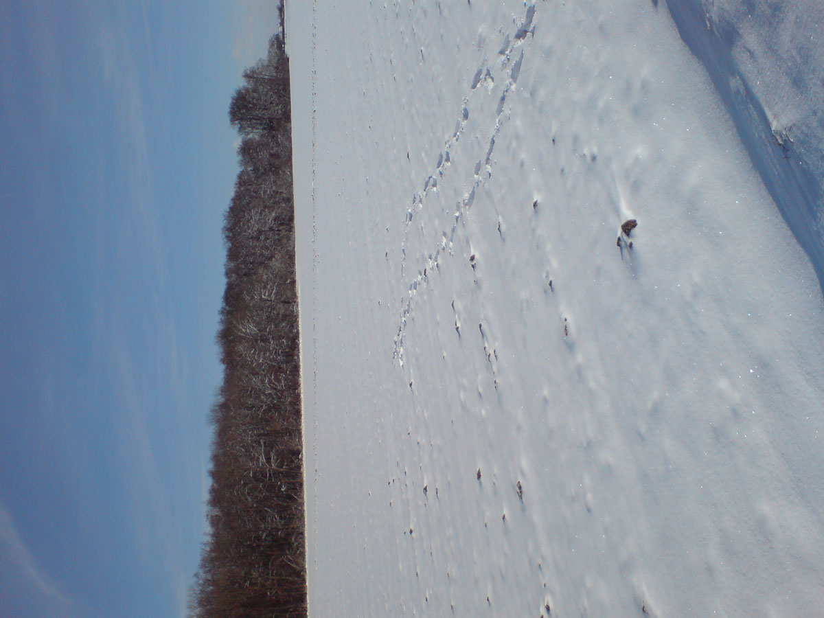 bild2.JPG