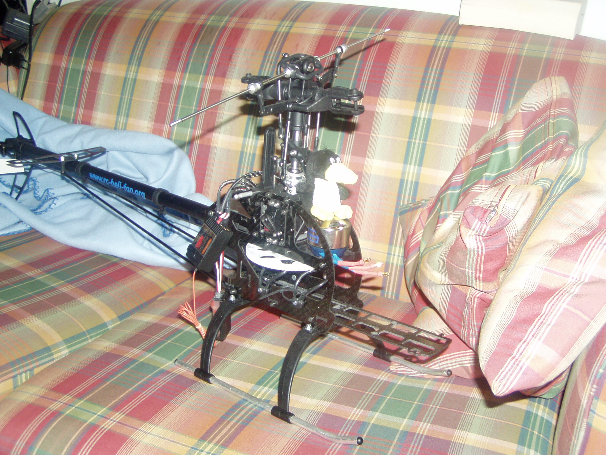 p1010003.jpg