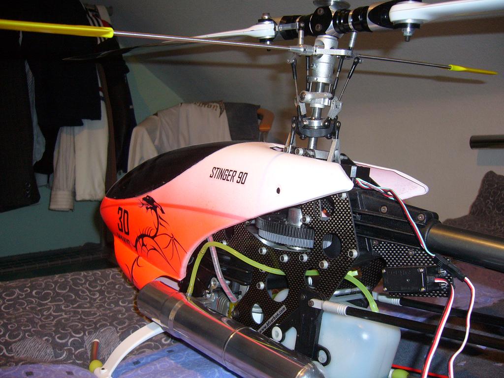 P1010028.JPG