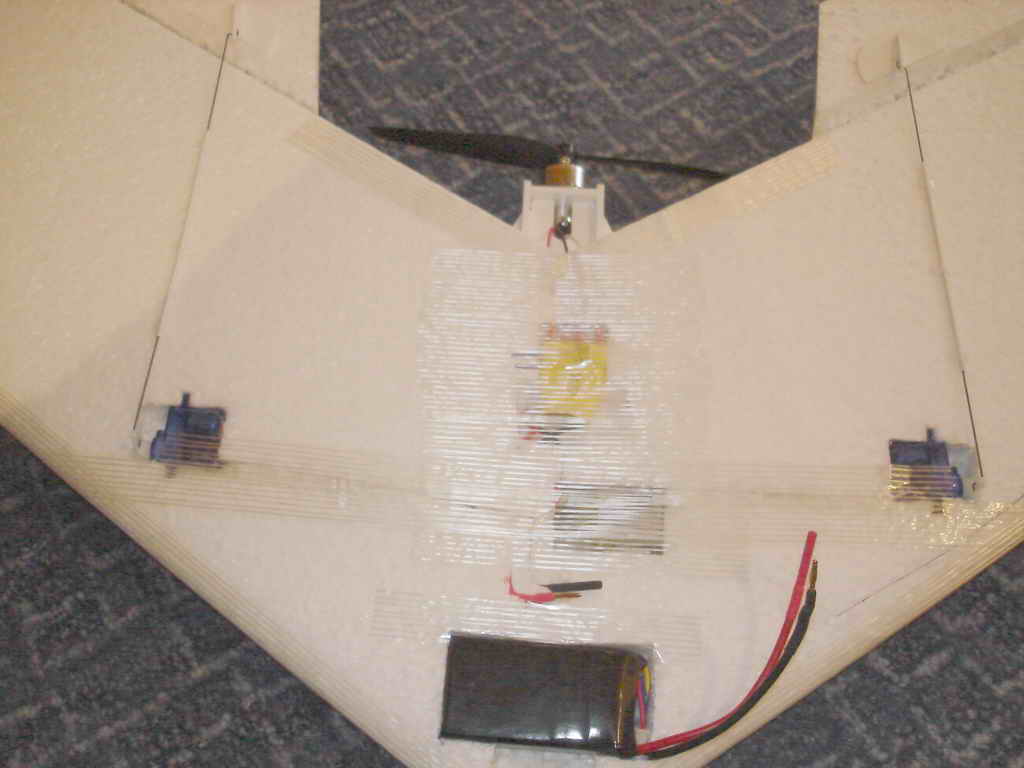 swift03.jpg