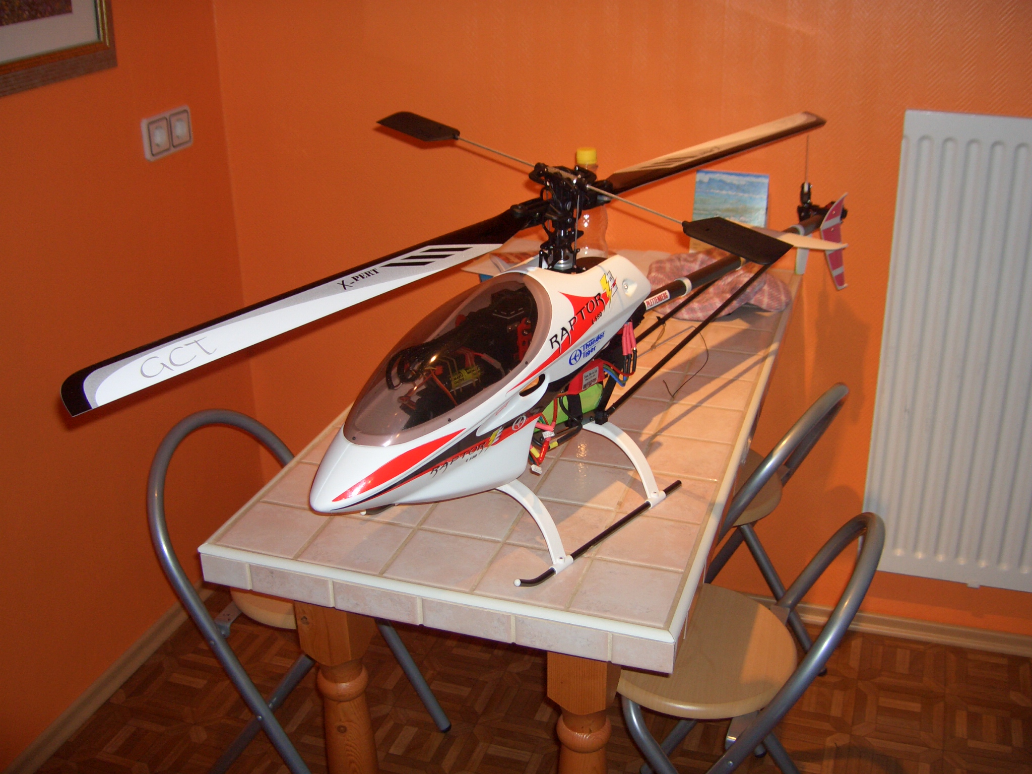 Raptor 555.jpg
