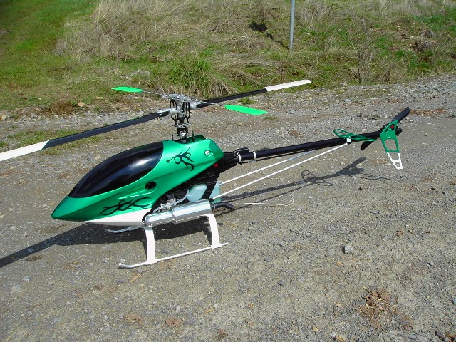 PICT1081 (640 x 480).jpg