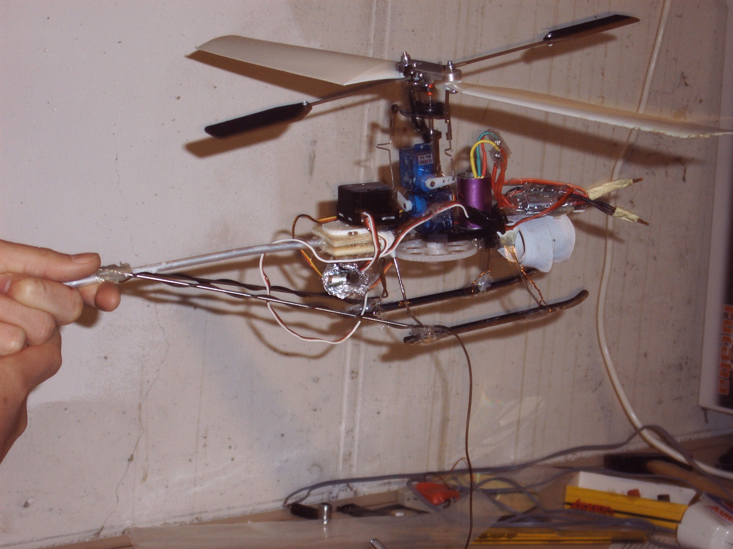 IMG00040.JPG