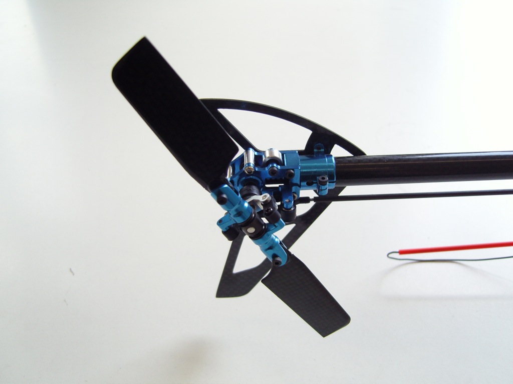SNC11273.jpg