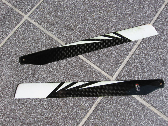 radix 002.jpg