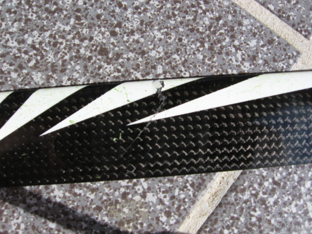 radix 003.jpg