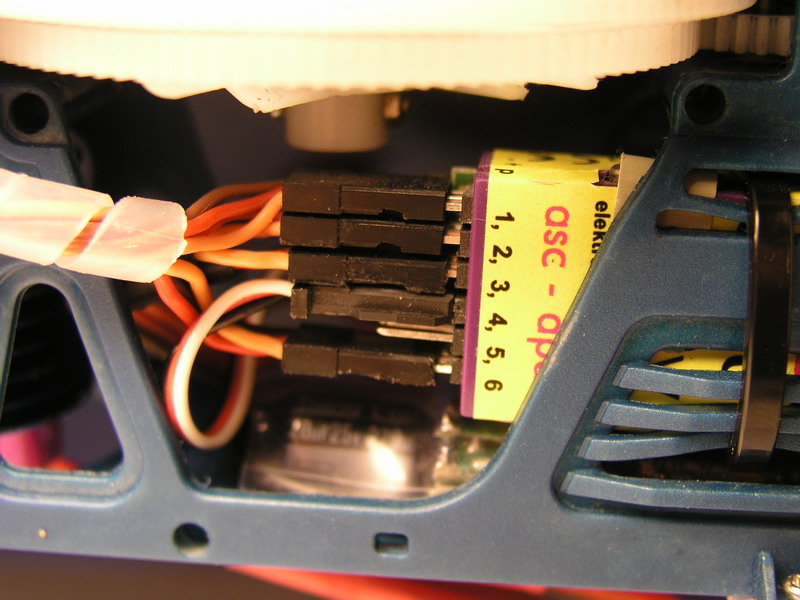 P1010005_Größenveränderung.JPG
