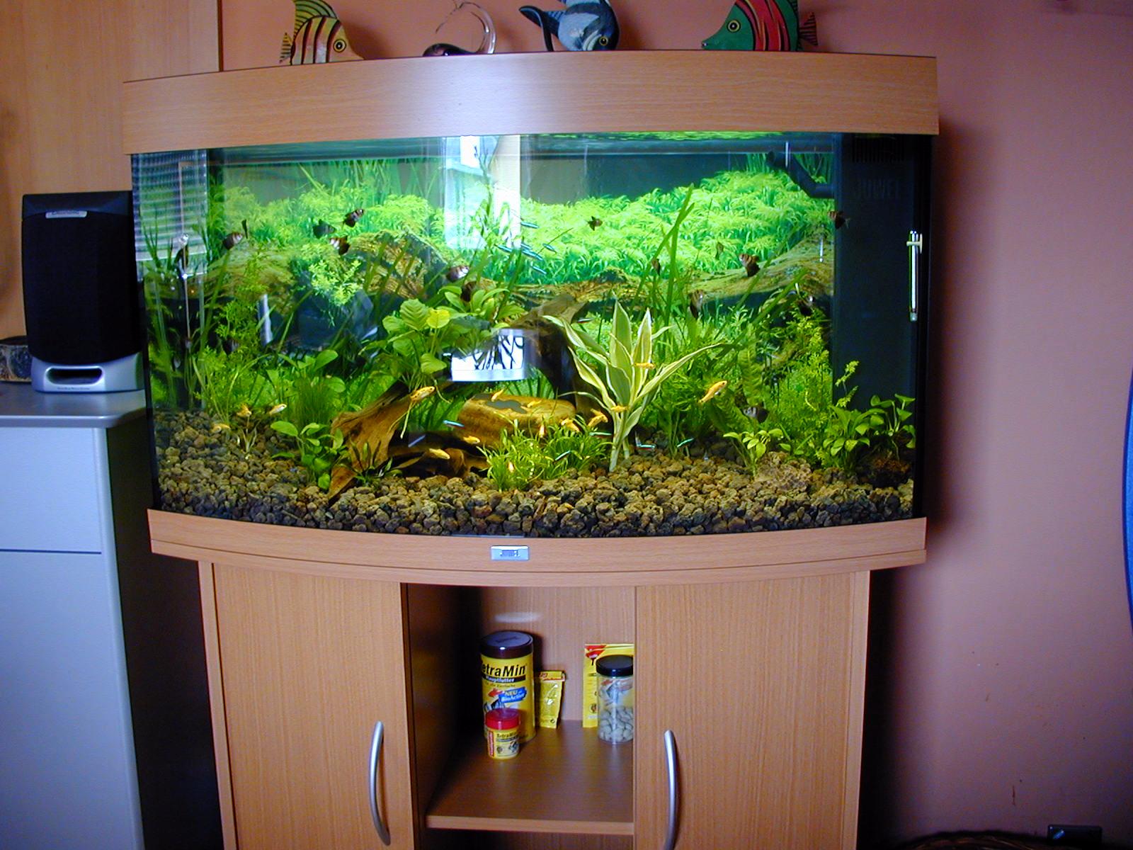 Vision 180 Becken