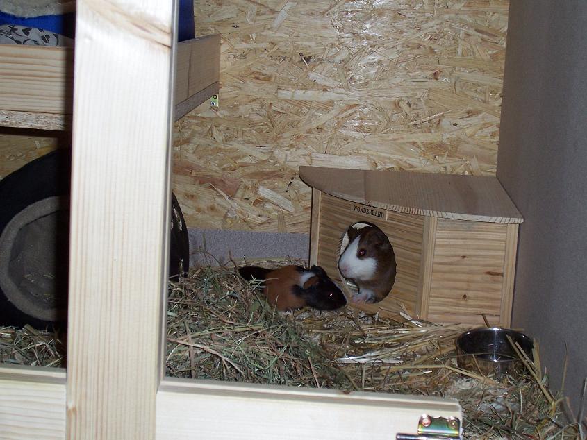 freddy und clara