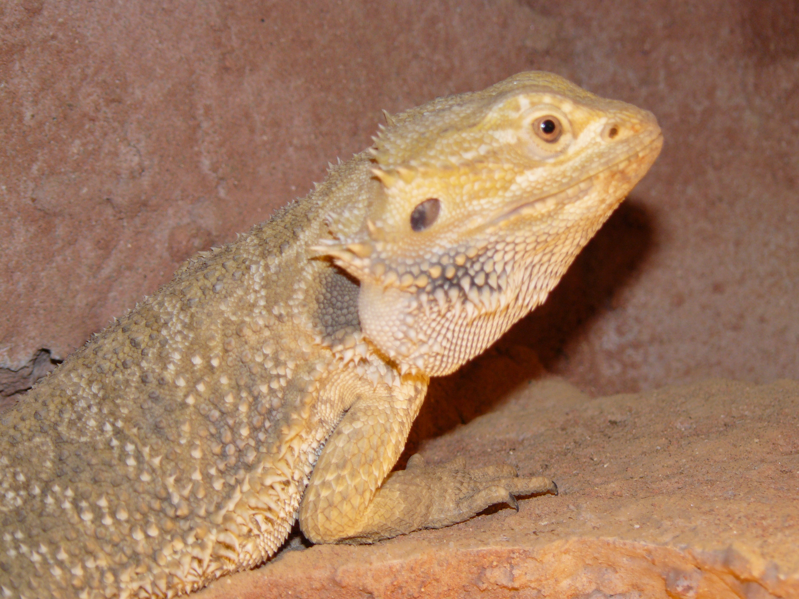 P1000035.JPG