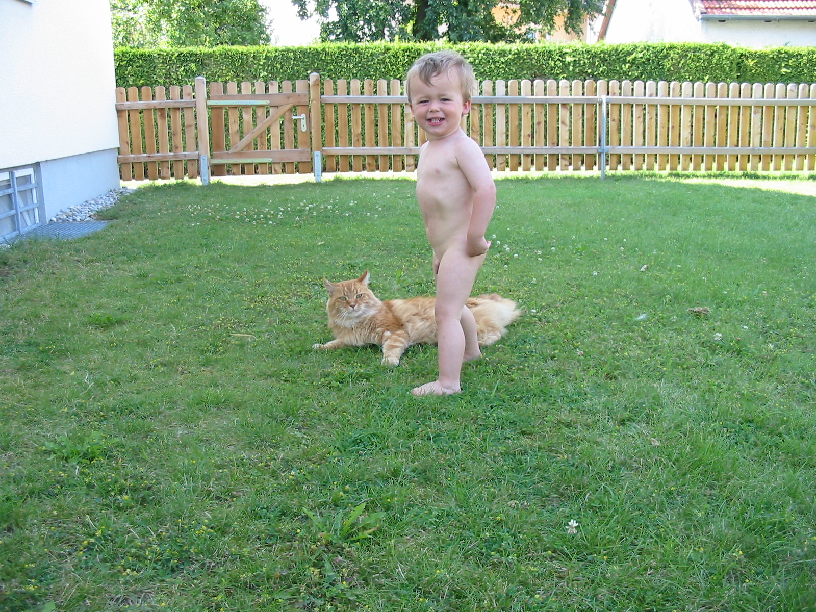 110-1032_IMG.JPG