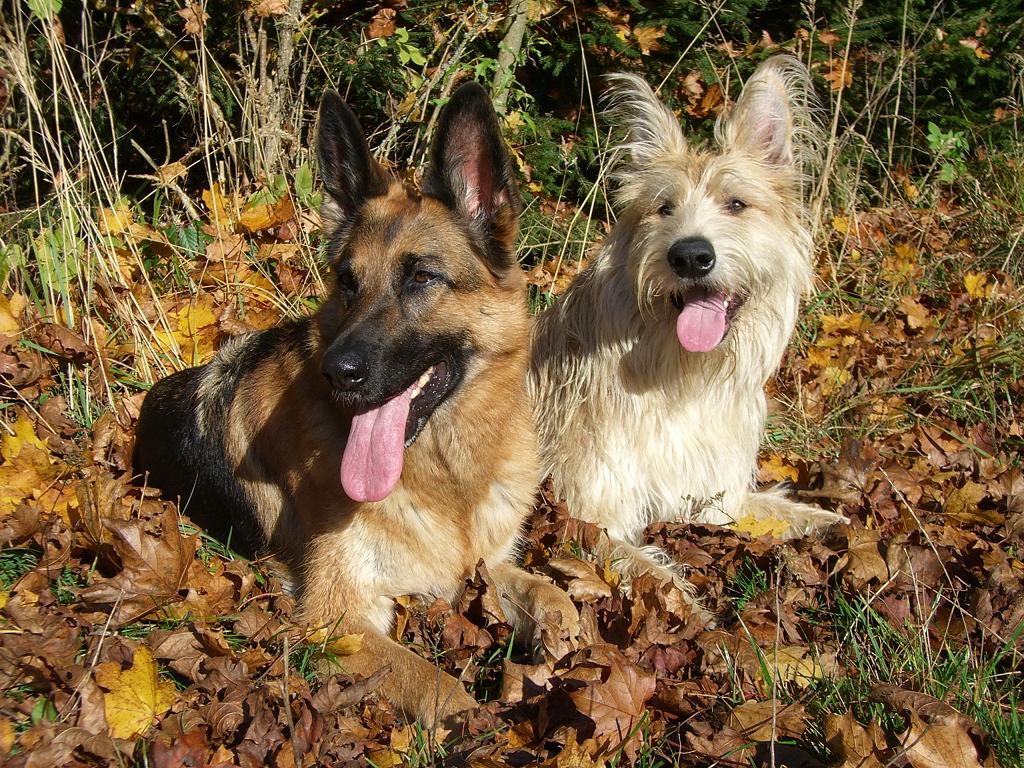 Herbst05.JPG