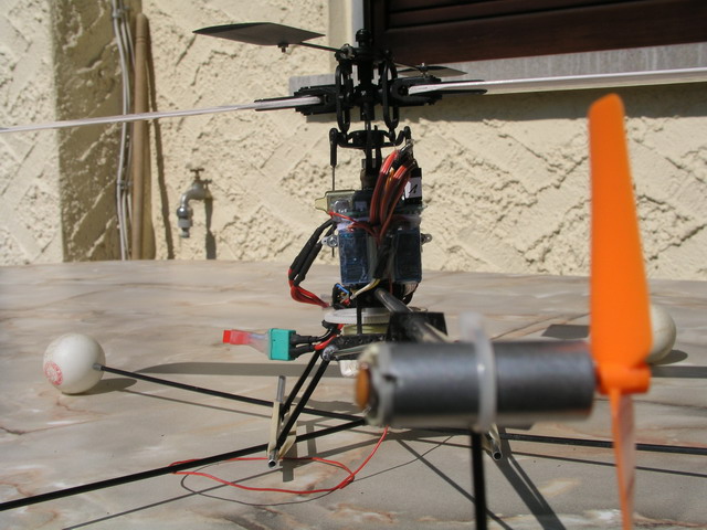 20050402_003.JPG