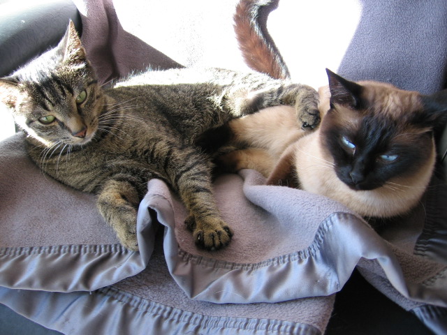 Benji &amp;amp; Joey