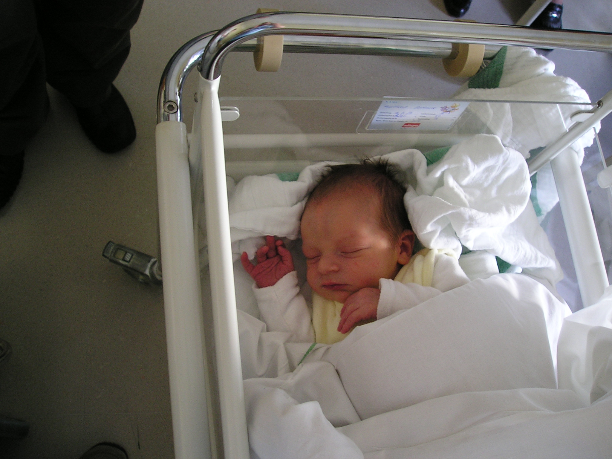 in der shcmalen leiste.JPG