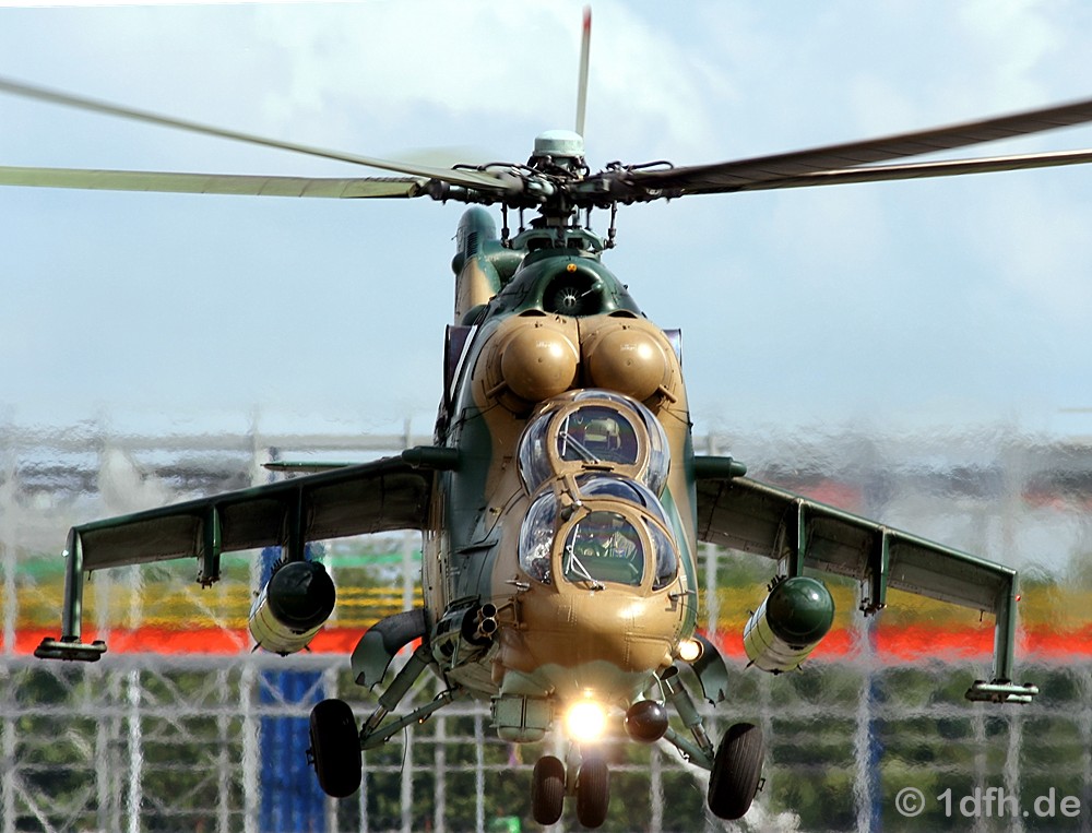 1dfh.hind_6915_2.JPG