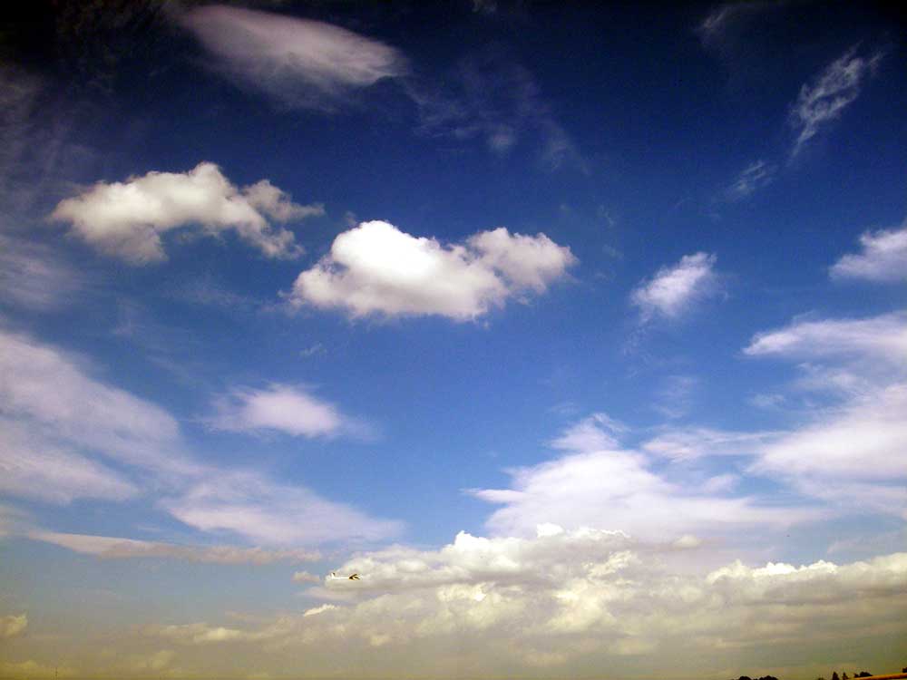 IMGP2707.jpg