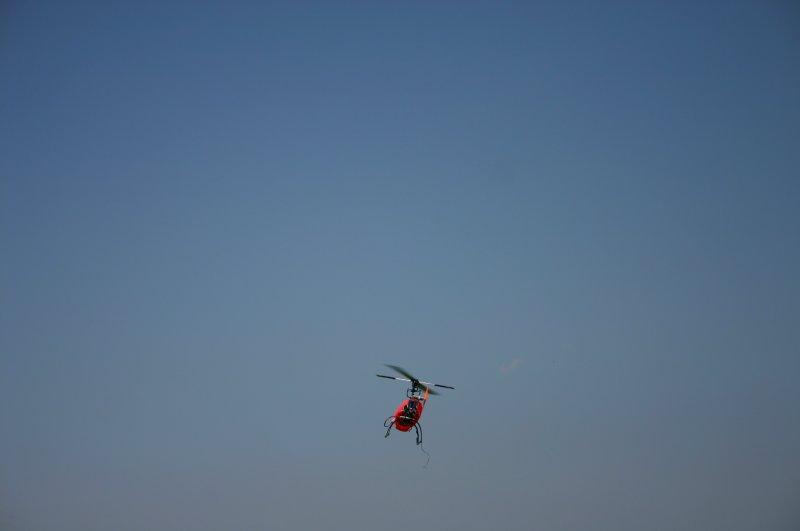 IMG_2784.jpg