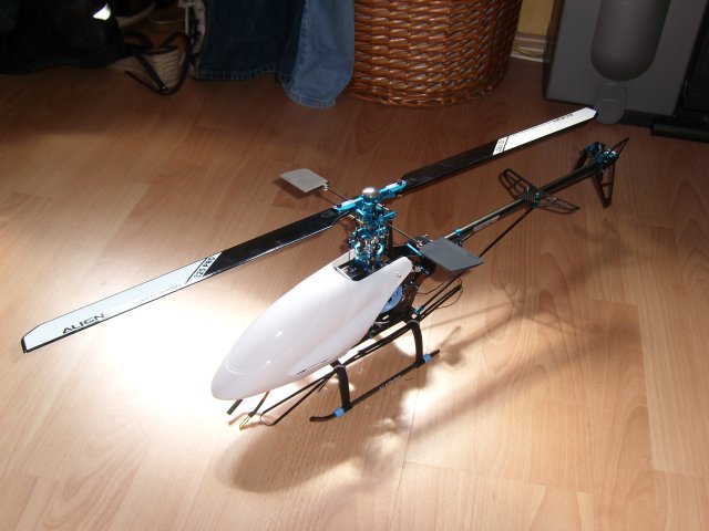 Da isser Phönix-Rex der 1. (mit schwarzen Holzis - goil!)