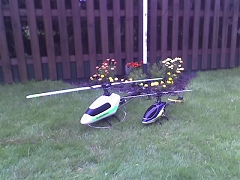 Im Garten vertragen sie sich ja schon mal :-)