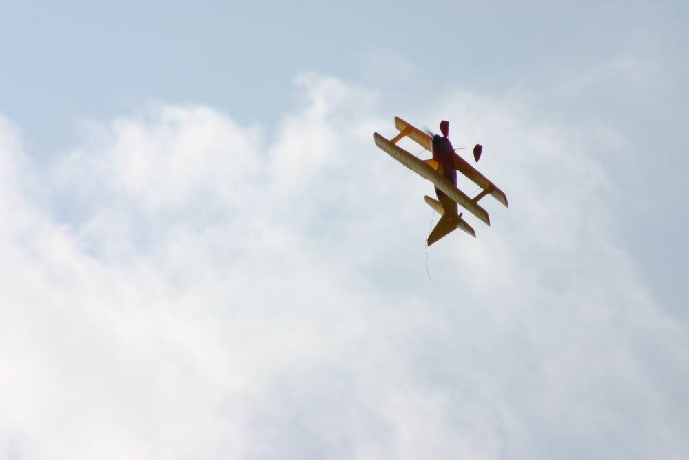 IMG_4538.jpg